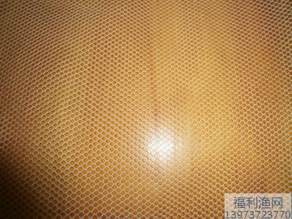 供应夏花网鱼苗网
